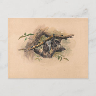 De drie-Toed Sloth van Joseph Wolf Briefkaart