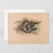 De drie-Toed Sloth van Joseph Wolf Briefkaart (Voorkant / Achterkant)
