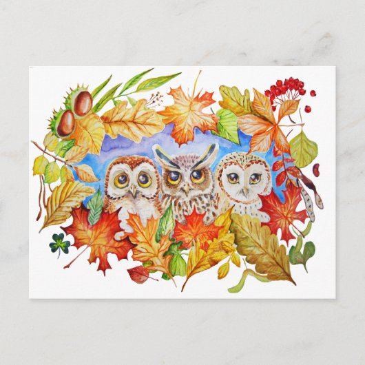 de drie uilenherfst briefkaart (Voorkant)