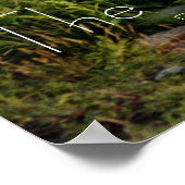 De drie zussen poster (Hoek)