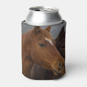 De Drietallen van het paard Blikjeskoeler