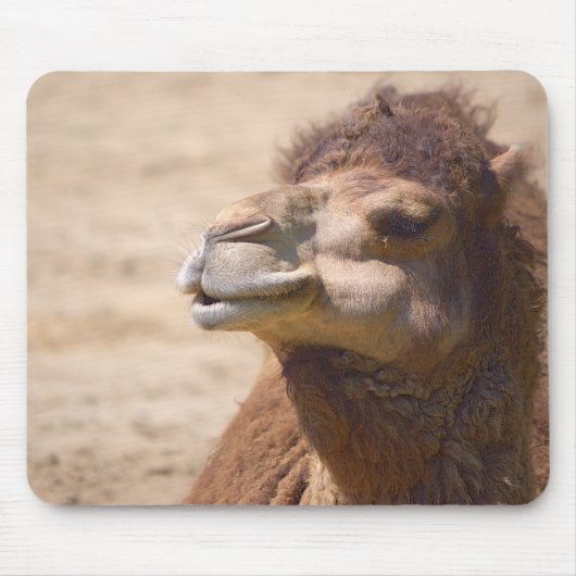 De dromedarische kameel - Mousepad Muismat (Voorkant)