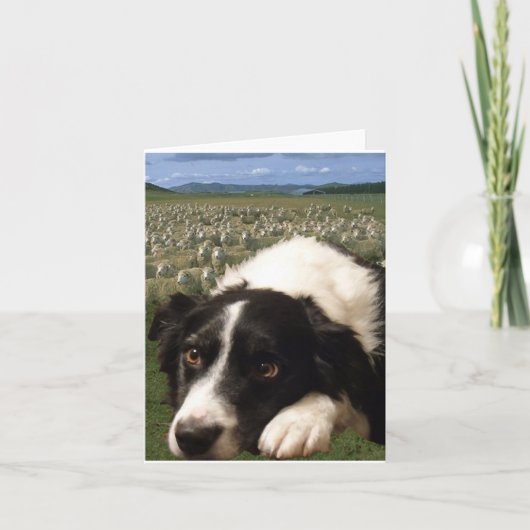 De Dromen Notecard van border collie Kaart (Voorkant)