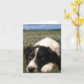 De Dromen Notecard van border collie Kaart (Gele Bloem)