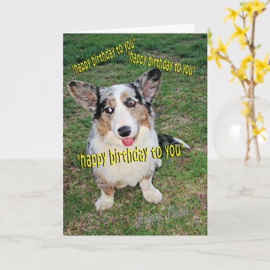 De Dromen van de Cake van Doggie Kaart (Gele Bloem)