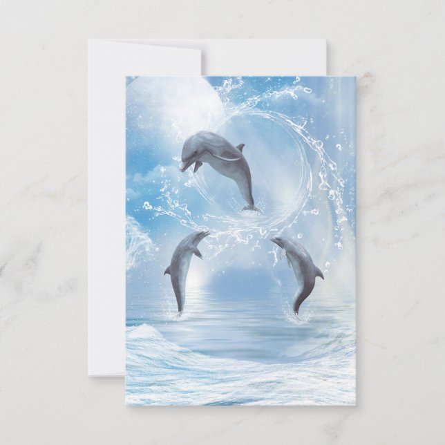 De dromen van dolfijnen (Voorkant)