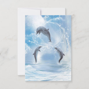 De dromen van dolfijnen