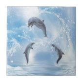 De dromen van dolfijnen tegeltje (Voorkant)