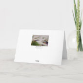 De Droom Notecard van de zomer Kaart (Achterkant)