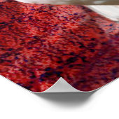 de droom van de witte duif poster (Hoek)