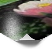 De droom van de Zeemeermin Foto Afdruk (Hoek)