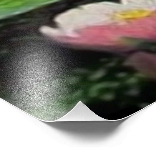 De droom van de Zeemeermin Foto Afdruk (Hoek)