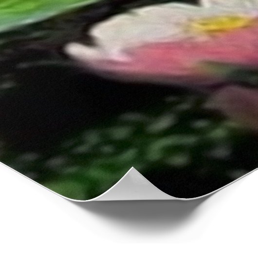 De droom van de Zeemeermin Poster (Hoek)