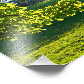 De droom van een boom foto afdruk (Hoek)