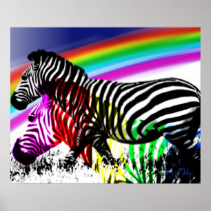 De droom van Zebras komt uit Poster