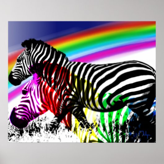 De droom van Zebras komt uit Poster (Voorkant)
