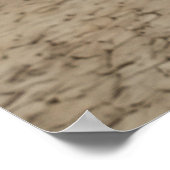 De Droomersweg over de Droge Rivierbedding Poster (Hoek)