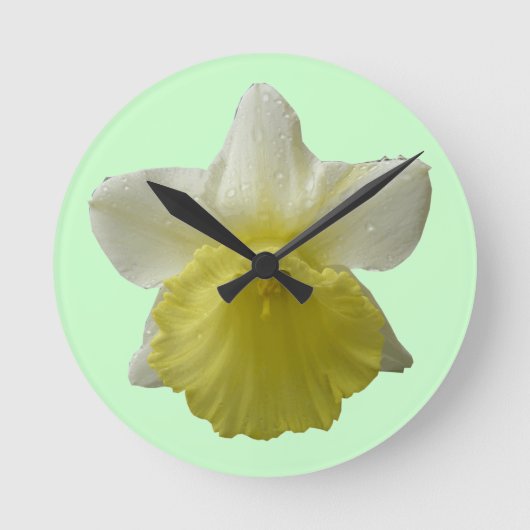 De druipende Klok van de Muur van de Gele narcis (Voorkant)
