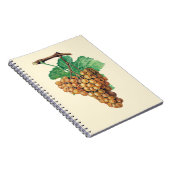 De druiven "terret blanc", kleur: botercrème notitieboek (Rechterzijde)