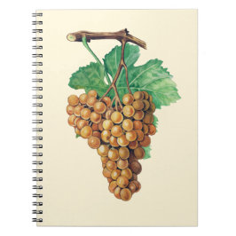 De druiven "terret blanc", kleur: botercrème notitieboek