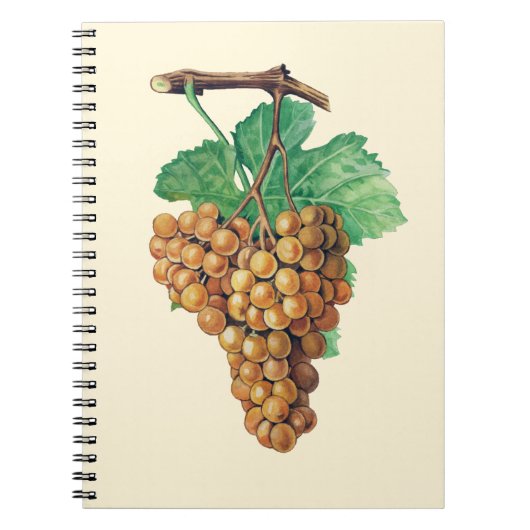 De druiven "terret blanc", kleur: botercrème notitieboek (Voorkant)