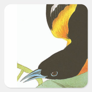 De druk van Audubon van Baltimore Oriole Vierkante Sticker
