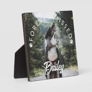 De Druk van de verf voor de gemiste Foto van het P Fotoplaat