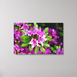 De Druk van het Canvas van Azelia