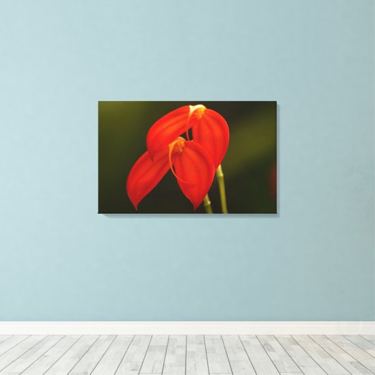 De Druk van het Canvas van de Rek van de Orchidee (Insitu (Houten vloer))