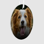 De Drukken van de schilder en de Foto Ornam van de Ornament (voorkant)