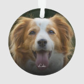 De Drukken van de schilder en de Foto Ornam van de Ornament (achterkant)