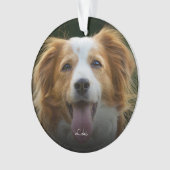 De Drukken van de schilder en de Foto Ornam van de Ornament (voorkant)