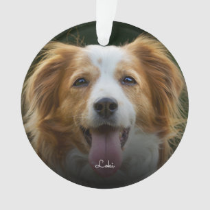 De Drukken van de schilder en de Foto Ornam van de Ornament