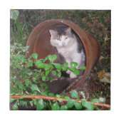 De druppels blijven op mijn hoofd vallen. tegeltje (Voorkant)