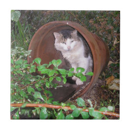 De druppels blijven op mijn hoofd vallen. tegeltje