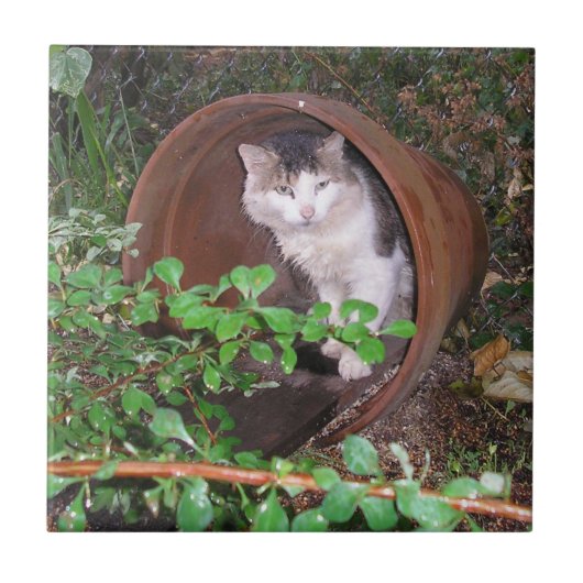 De druppels blijven op mijn hoofd vallen. tegeltje (Voorkant)