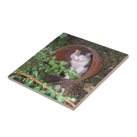 De druppels blijven op mijn hoofd vallen. tegeltje (Zijkant)