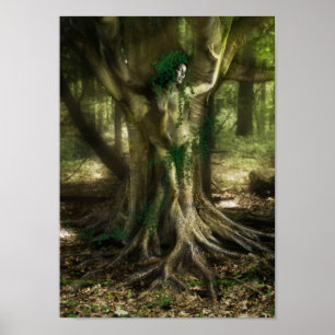 De Dryad Poster