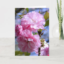 De dubbele Bloesems van de Kers Kaart