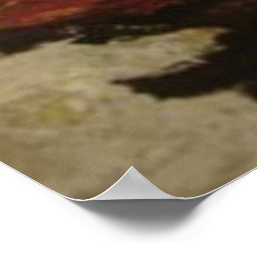 De dubbele boeddha poster (Hoek)