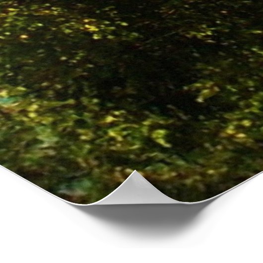 DE DUBBELE RAINBOODdruk Poster (Hoek)