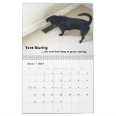 De Duchess of York County Kalender (Mar 2027)