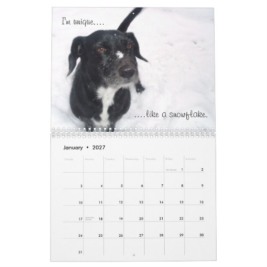 De Duchess of York County Kalender (Jan 2027)