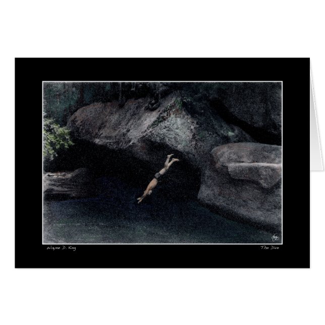 De duif (Voorkant Horizontaal)