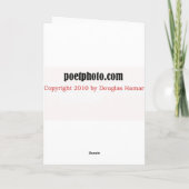 De duif antwoordt: "Noël." Feestdagen Kaart (Achterkant)