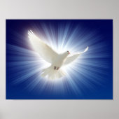 de duif in licht poster (Voorkant)