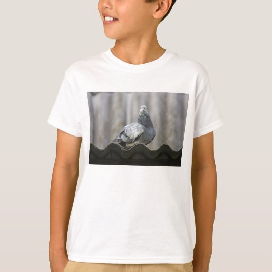 De duif op het dak. t-shirt (Voorkant)