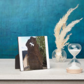 De Duif van Pierre Fotoplaat (Insitu)