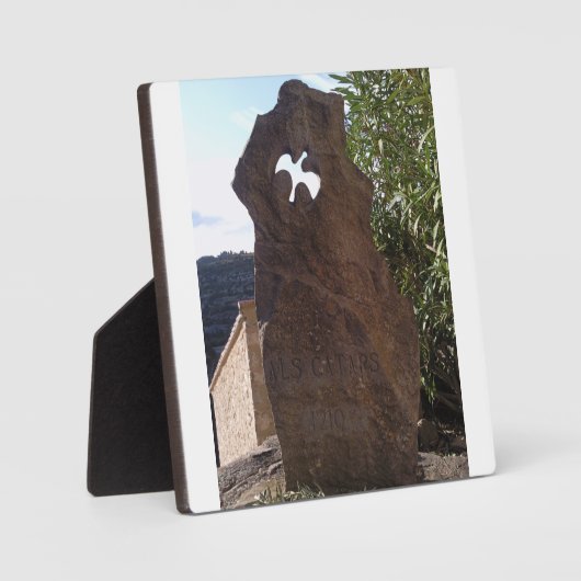 De Duif van Pierre Fotoplaat (Voorkant)