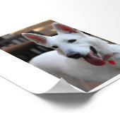 de duitse herder png poster (Hoek)